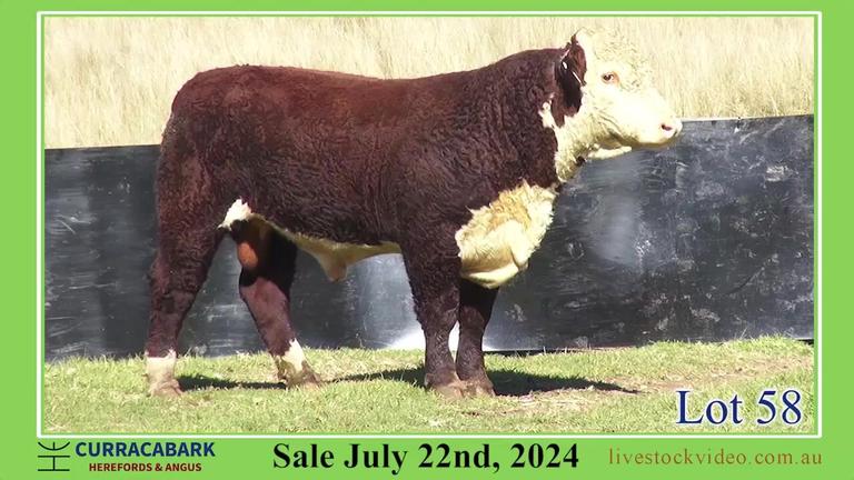 Lot 58