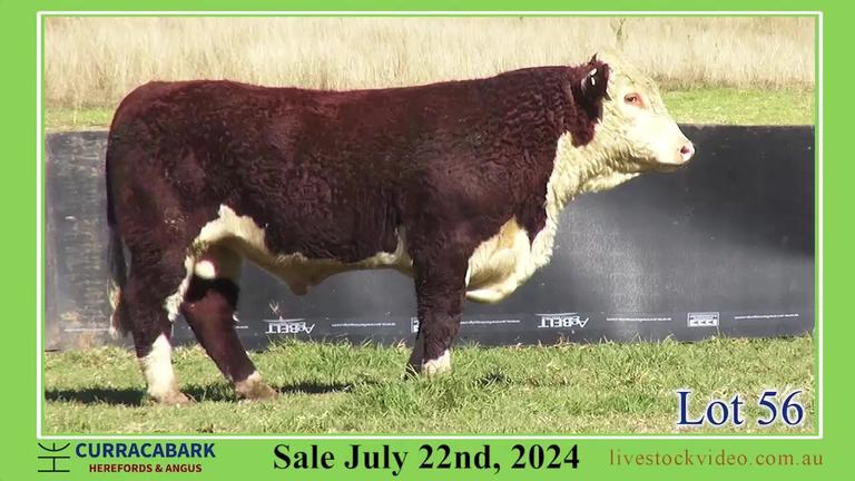 Lot 56