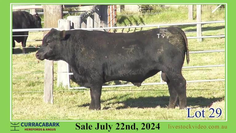 Lot 29