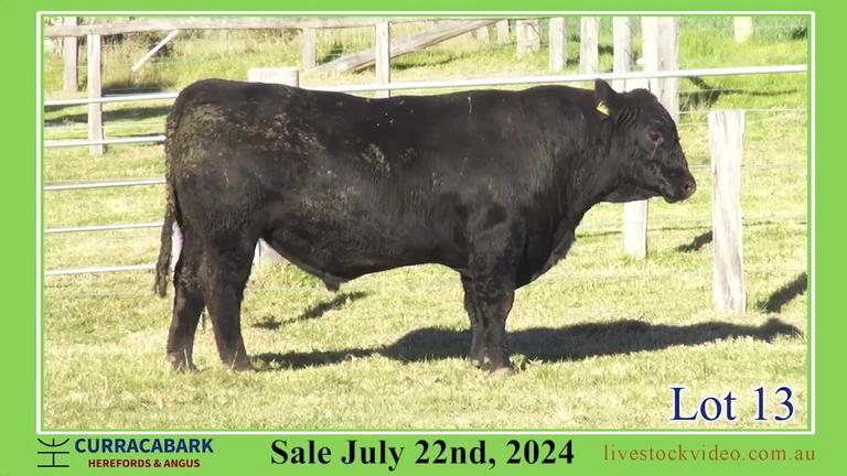 Lot 13