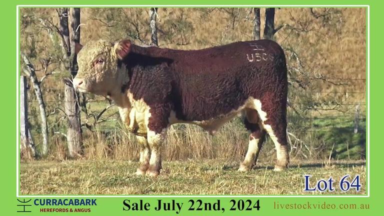 Lot 64