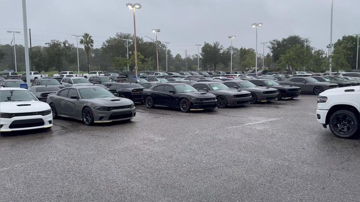 New vehicles for Jasmine! - Nick B 315-749-3934