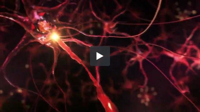 stem cell activation