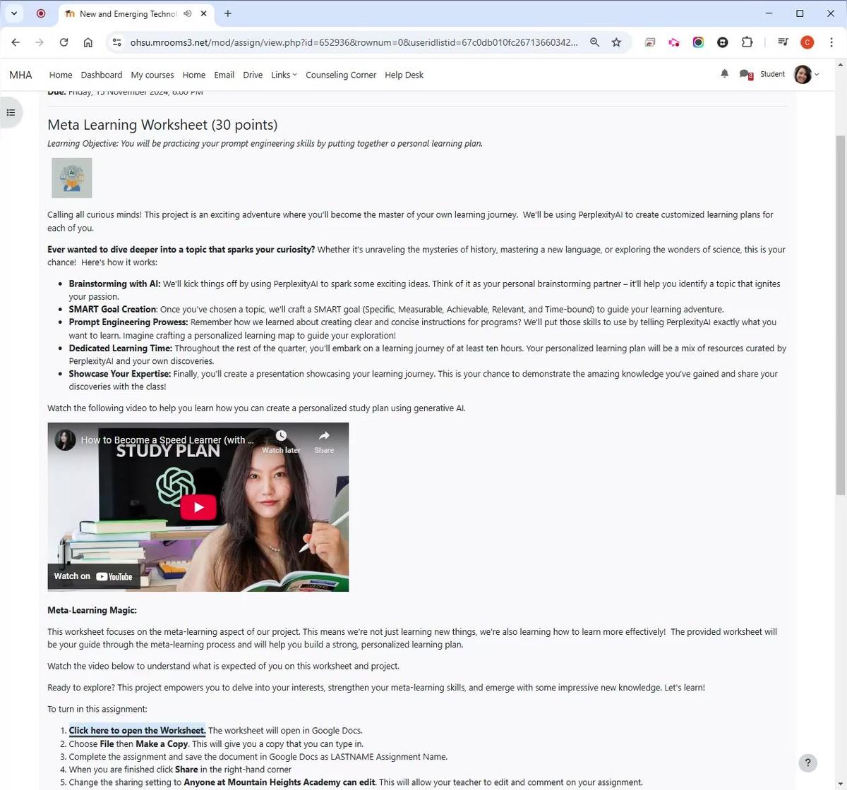 Personal Learning Plan Part 1 Meta Learning