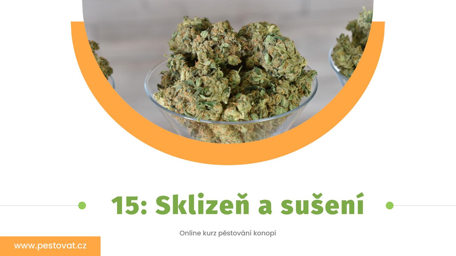 15. lekce: Sklizeň a sušení