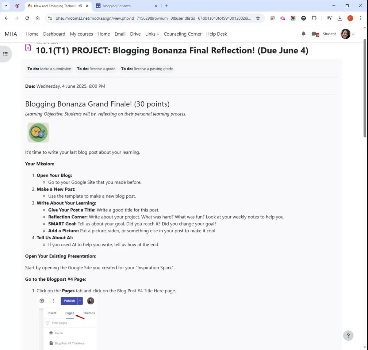 T1 Blogging Bonanza Final Reflection