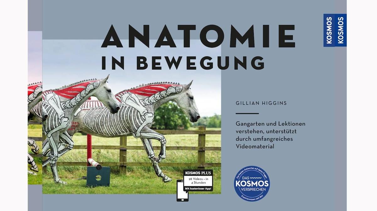 000 Einführung – Higgins, Anatomie in Bewegung