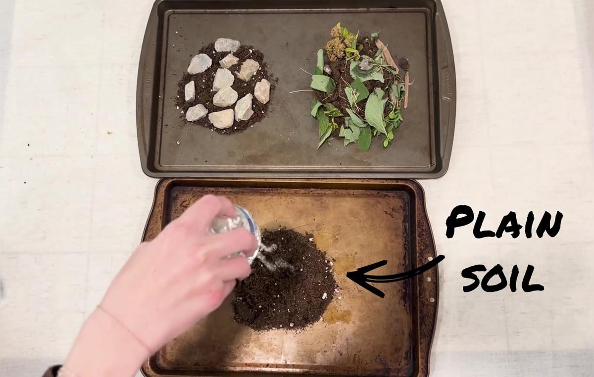 8.2 Erosion Lab Demo