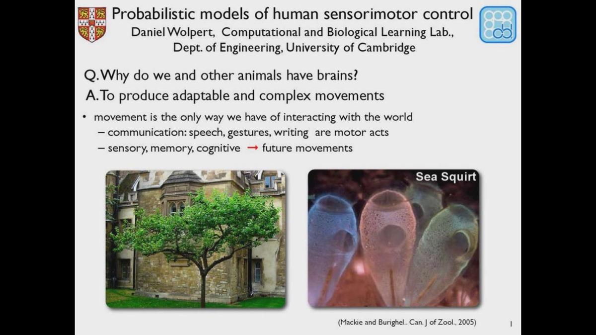 Daniel Wolpert &quot;Probabilistic Models of Human Sensorimotor Control&quot;