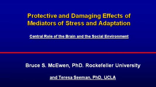 Protective and Damaging Effects of Stress Mediators: Central Role of the Brain and the Social Environment