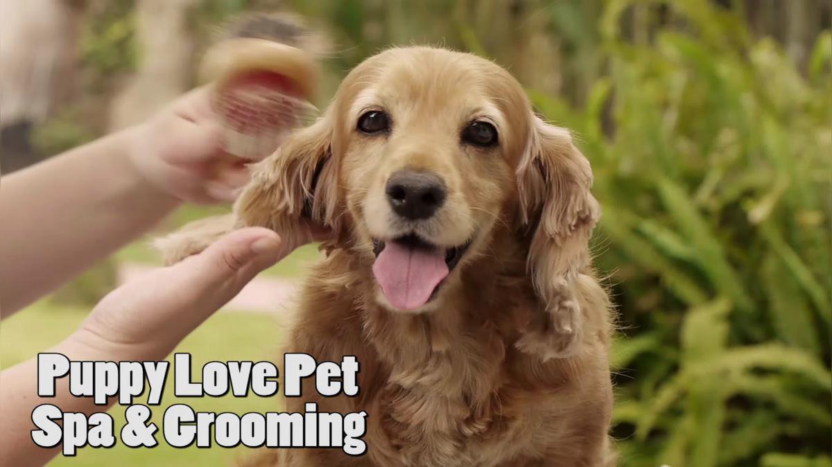 Dog Grooming in New Orleans LA, Shirley's Pet Grooming