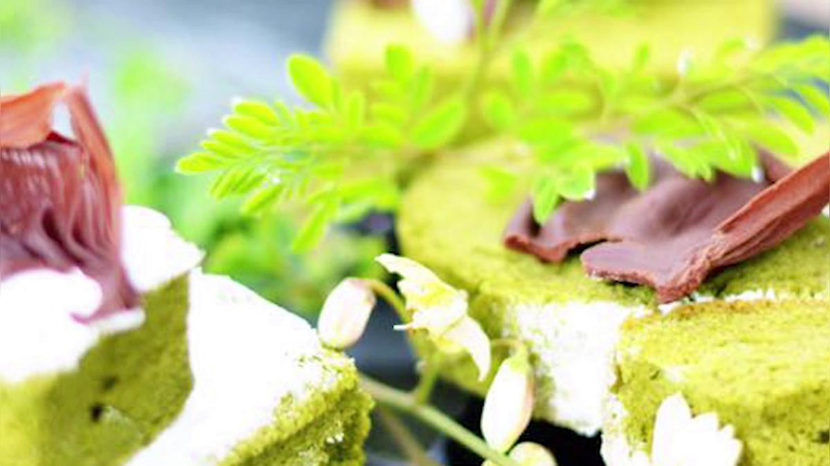 Bakery in Zephyrhills FL, Living Food Bakery &amp; Cafe