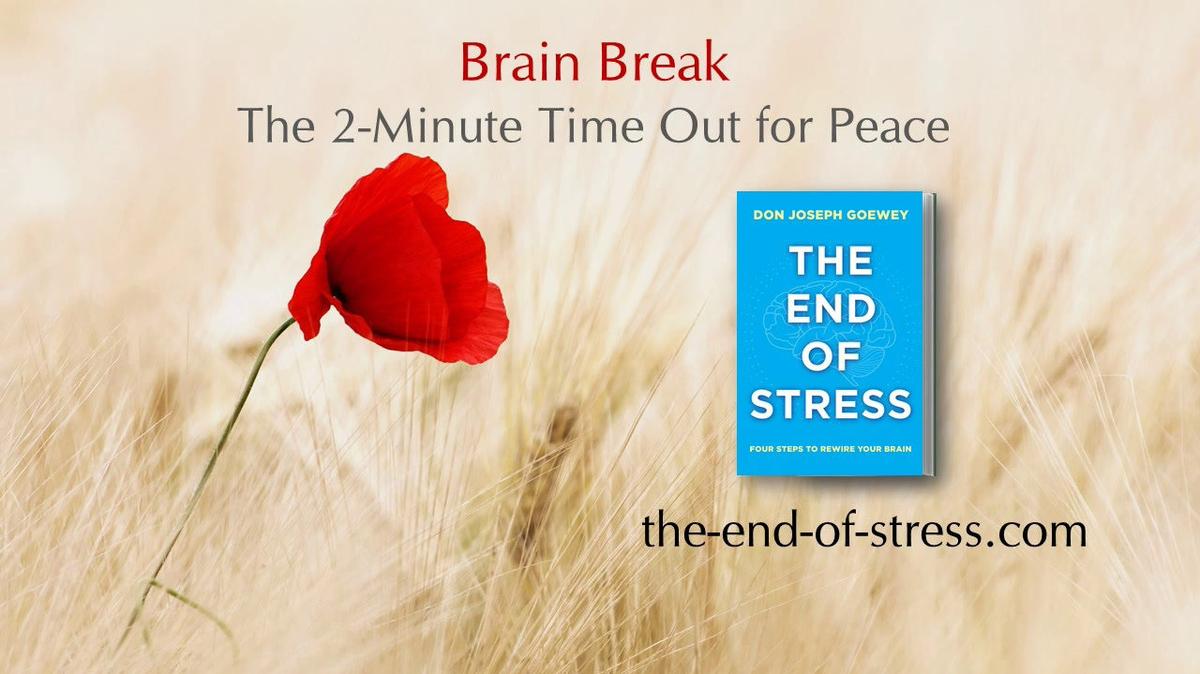 Brain-Break-2-Minute-Time-Out-for-Peace.mp4