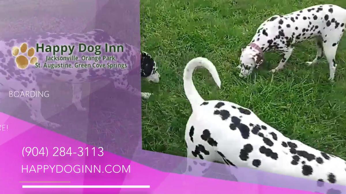 Pet Grooming in Green Cove Springs FL, Happy Dog Inn