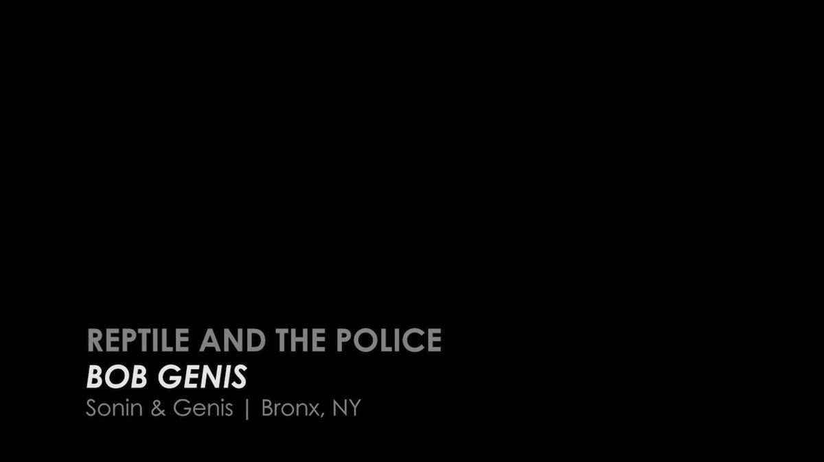 Criminal Defense | Day 2 04 - Bob Genis - Reptile & The Police