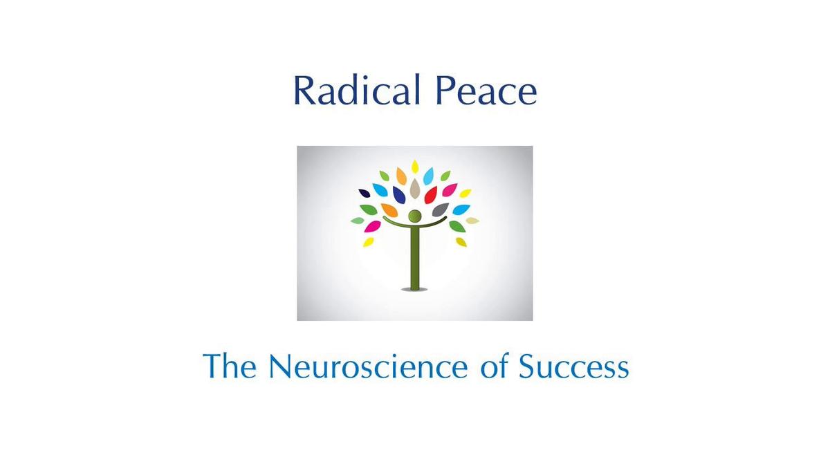Introduction-to-the-Radical-Peace-Training-subtitled-The-neuroscience-of-success.mp4