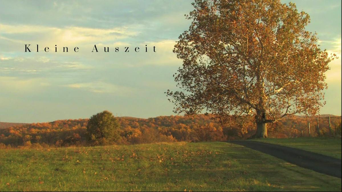 Kleine Auszeit - Herbstspaziergang
