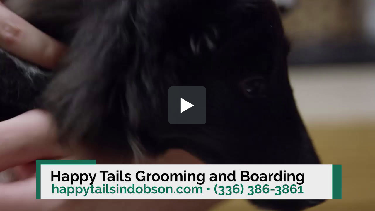 Pet Grooming In Dobson Nc Happy Tails Grooming And Boarding Egumball