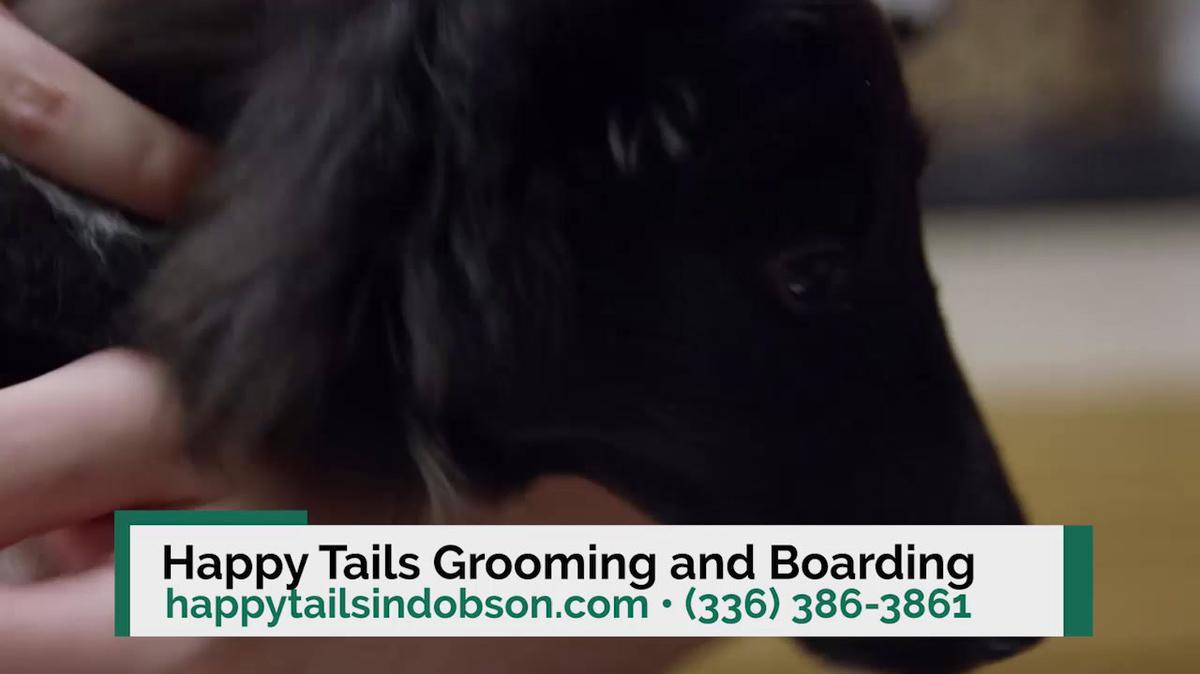 Pet Grooming in Dobson NC, Happy Tails Grooming and Boarding