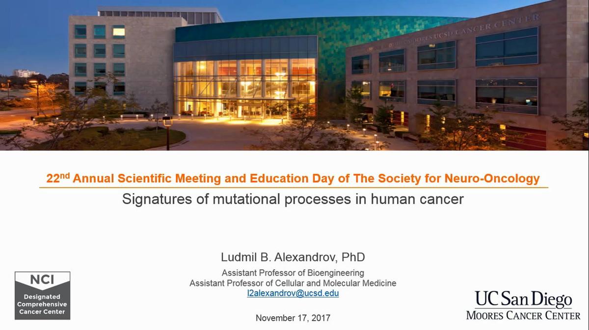 Signatures of Mutational Processes in Human Cancer