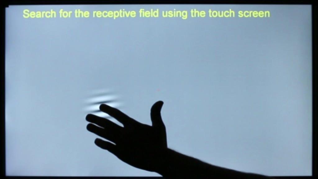 Display++ Touchscreen used to map receptive fields