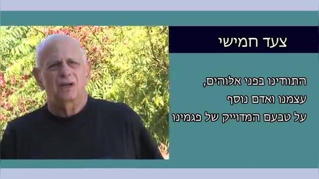 שנים עשר הצעדים