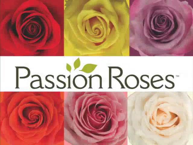 Full sizzles - PassionRoses - Short Sizzle.mp4