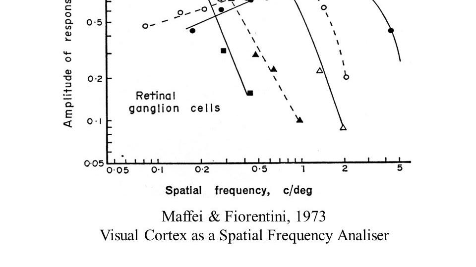 Lothar Spillmann "ECVP 2007: Correlations between Visual Psychophysics, Neurophysiology and Art"