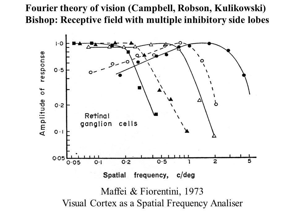Lothar Spillmann &quot;ECVP 2007: Correlations between Visual Psychophysics, Neurophysiology and Art&quot;