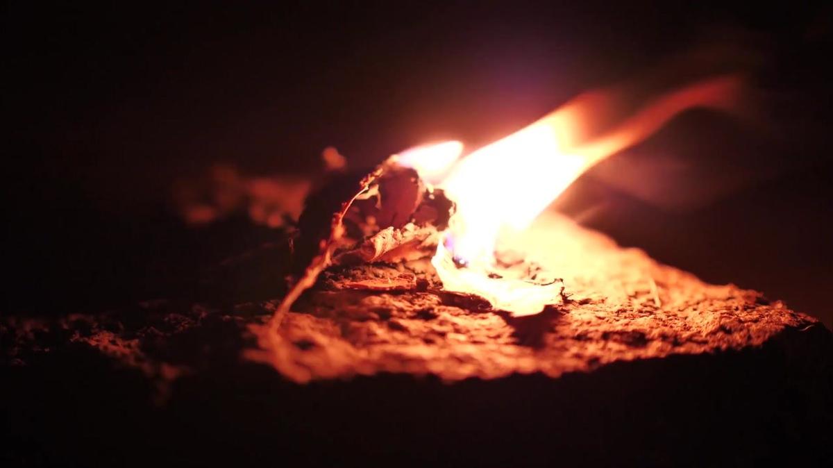 Birkenrinde als Grillanzünder