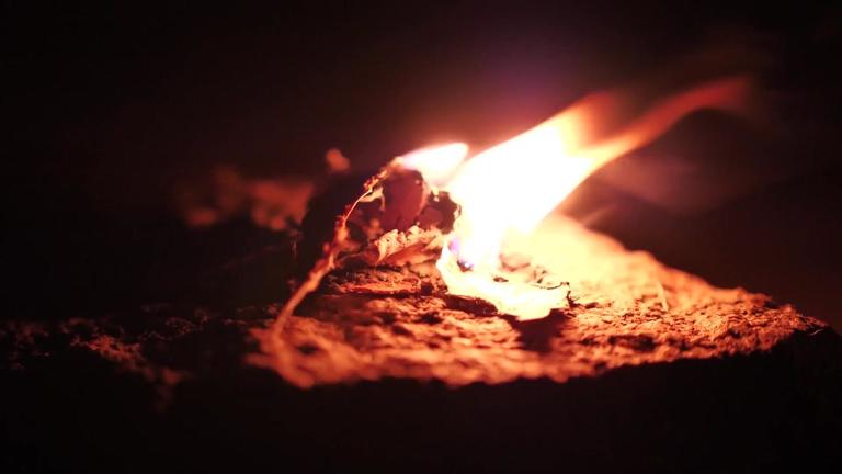 Birkenrinde als Grillanzünder