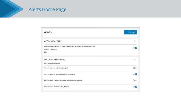 Security Alerts