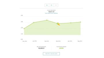 Net Worth