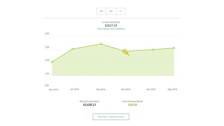 Net Worth