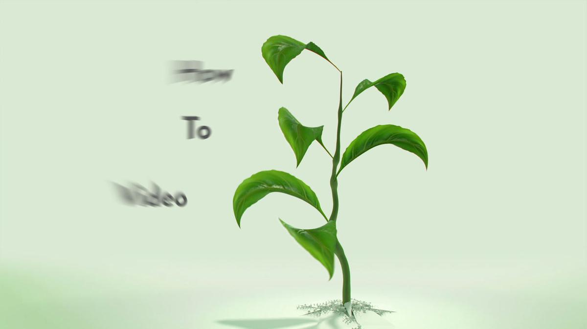 Live Streaming E3 Draft 1