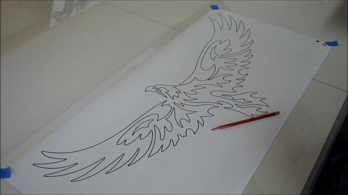 soaring eagle in flight