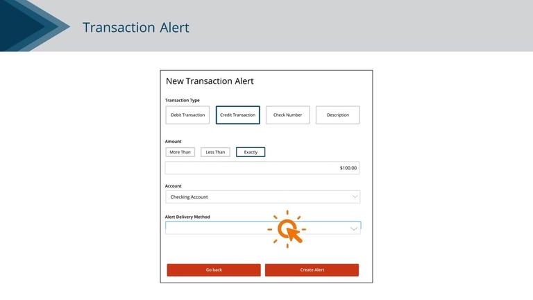 Transaction Alerts