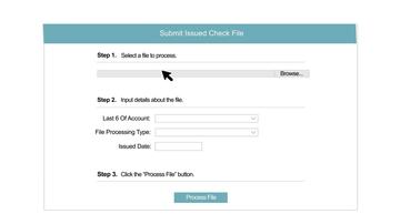 Submit New Check Issued File