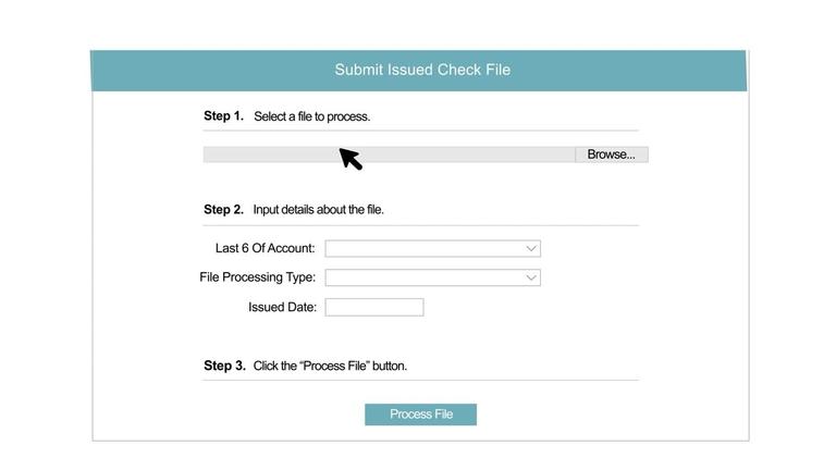 Submit New Check Issued File