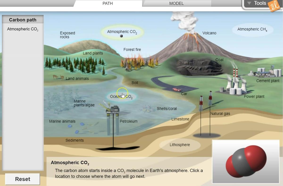 Carbon Cycle Gizmo Intro.mp4