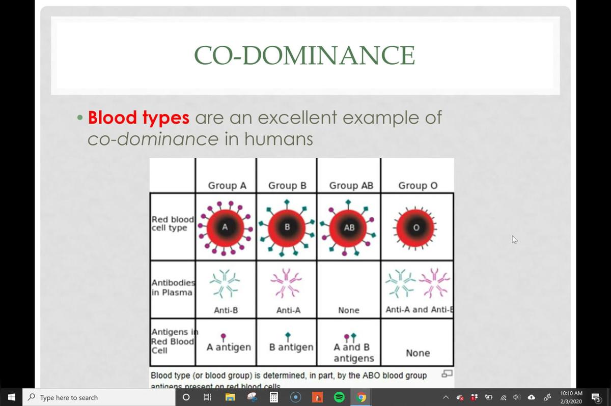 Blood Typing - Multiple Alleles