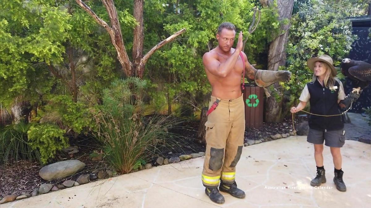 (2.59LW) 2022 Australian Firefighters Mixed Animal Calendar.mp4