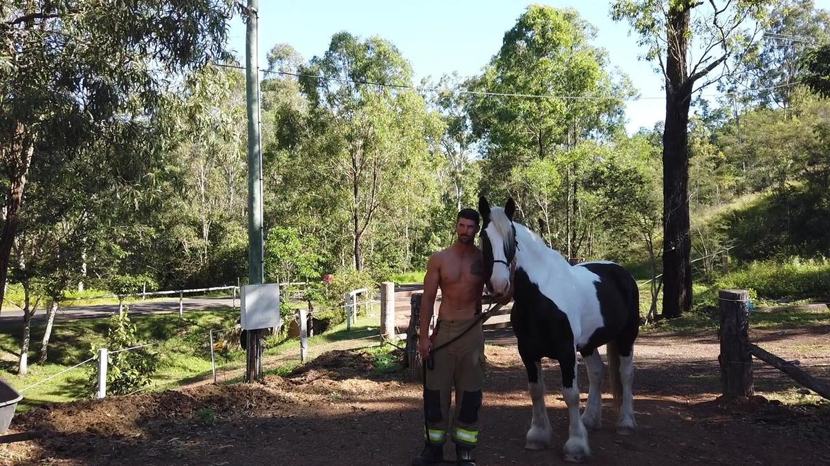 2022 Australian Firefighters Horse Calendar