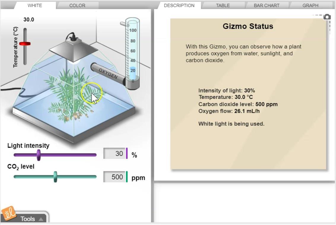 Plant and Snail Gizmo Intro