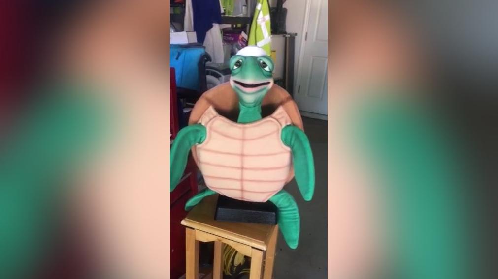 Talking Turtle (J.C.)