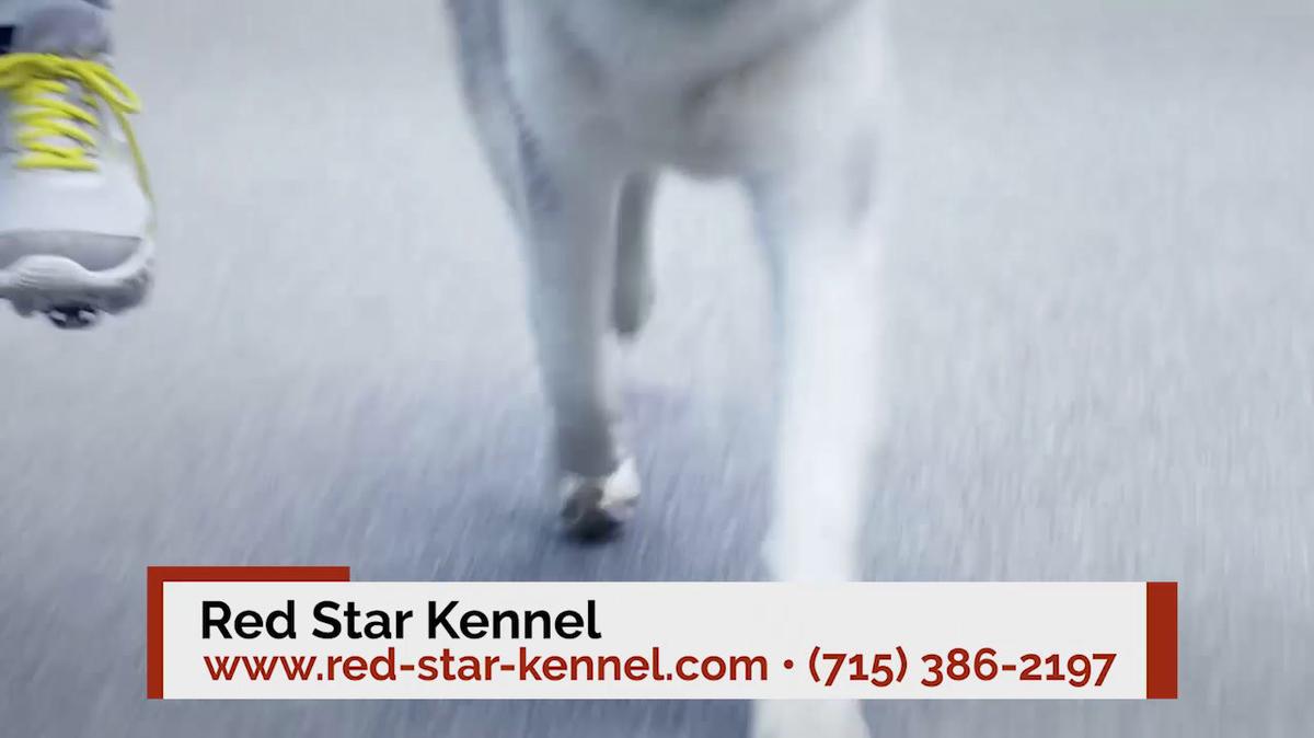Dog Training in Hudson WI, Red Star Kennel