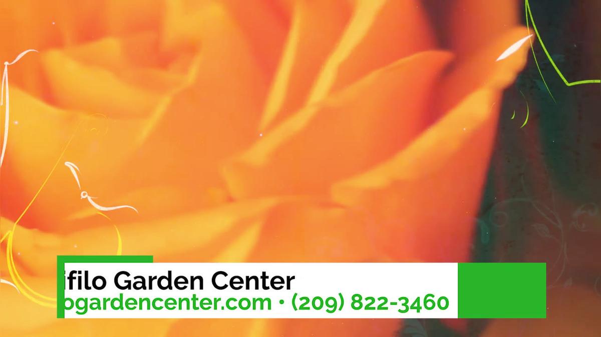 Plant Nursery in Murphys CA, Trifilo Garden Center