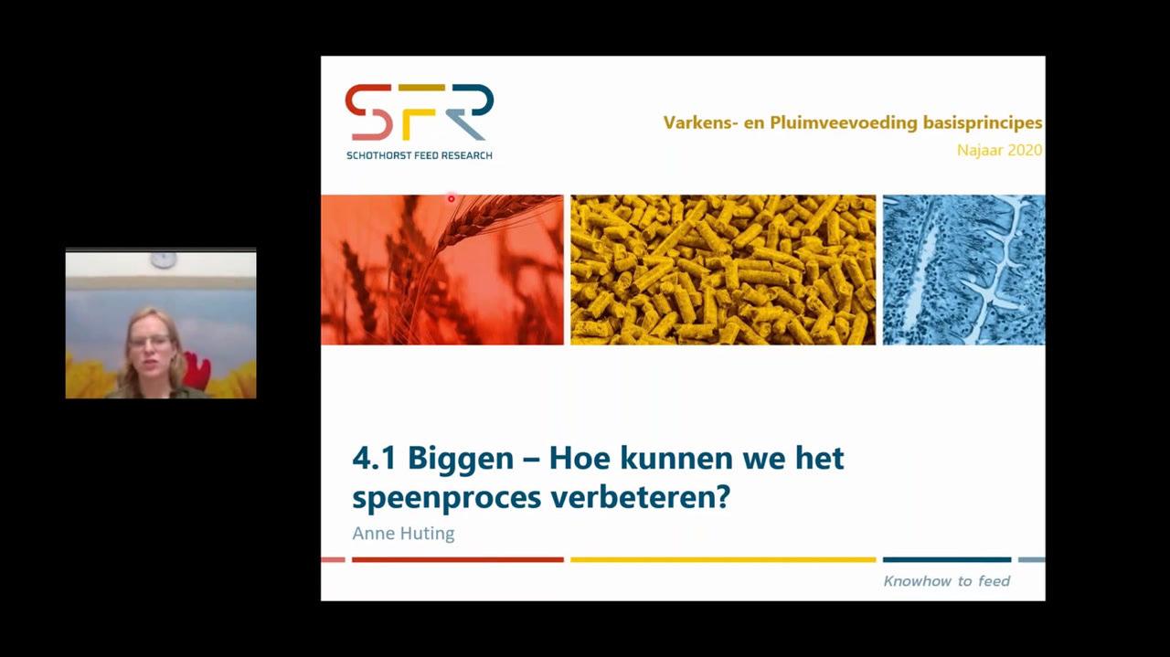 Varkens- en pluimveevoeding basis - 4.1 hoe kunnen we het speenproces verbeteren