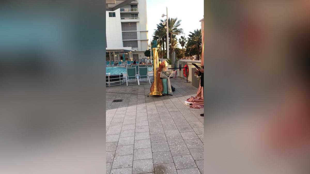 Harpist V.G. (Wyndham Grand)