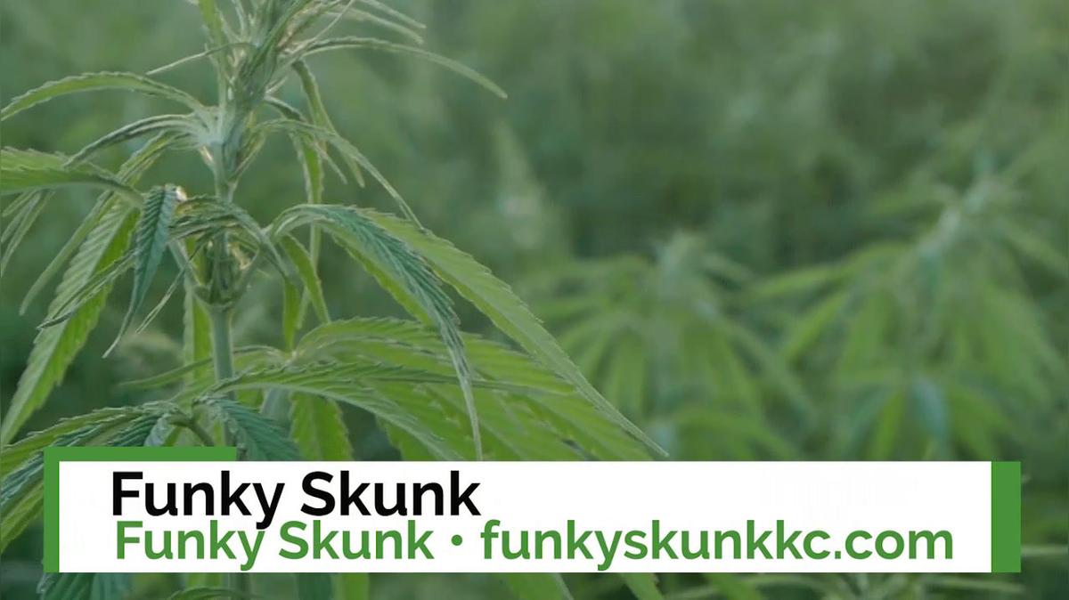 Head Shop in Raytown MO, Funky Skunk